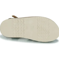 Citrouille et Compagnie - ASMILO