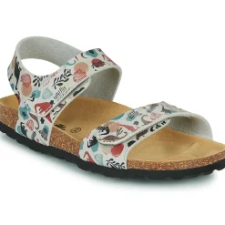 Citrouille et Compagnie - BELLI JOE