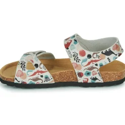 Citrouille et Compagnie - BELLI JOE