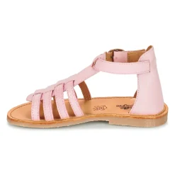 Citrouille et Compagnie - JASMA