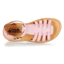 Citrouille et Compagnie - JASMA