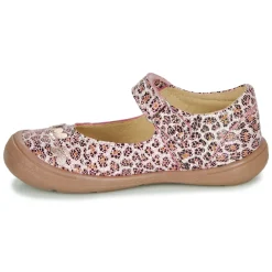 Citrouille et Compagnie - JALIPINE