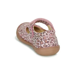 Citrouille et Compagnie - JALIPINE