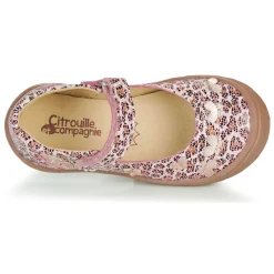 Citrouille et Compagnie - JALIPINE