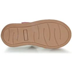 Citrouille et Compagnie - JALIPINE