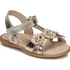 Citrouille et Compagnie - MARELLE