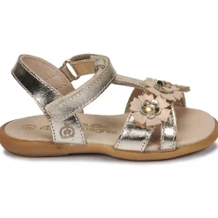 Citrouille et Compagnie - MARELLE