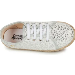 Citrouille et Compagnie - OKOKI