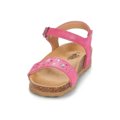 Citrouille et Compagnie - IHITO