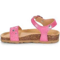 Citrouille et Compagnie - IHITO