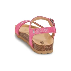 Citrouille et Compagnie - IHITO