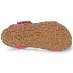 Citrouille et Compagnie - IHITO