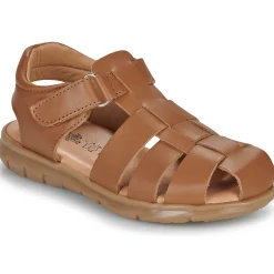 Citrouille et Compagnie - ZAPIDO