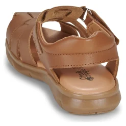 Citrouille et Compagnie - ZAPIDO