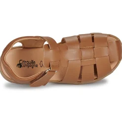 Citrouille et Compagnie - ZAPIDO