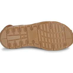 Citrouille et Compagnie - ZAPIDO