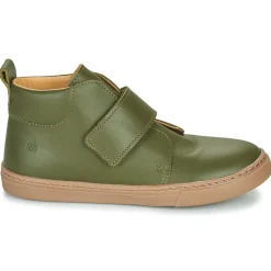 Citrouille et Compagnie - FOJAMO