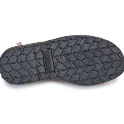 Citrouille et Compagnie - PAILETTE