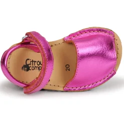 Citrouille et Compagnie - SQUOUBEL