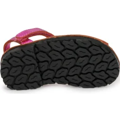 Citrouille et Compagnie - SQUOUBEL