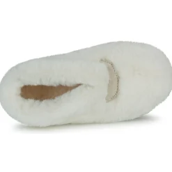 Citrouille et Compagnie - LOUTZ