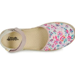 Citrouille et Compagnie - JYPSONI