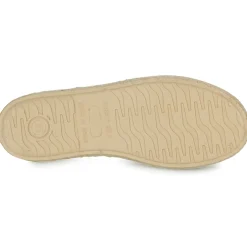 Citrouille et Compagnie - JYPSONI