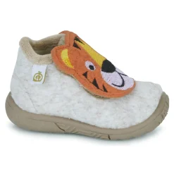 Citrouille et Compagnie - BASILE