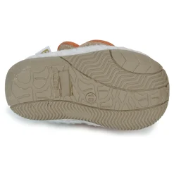 Citrouille et Compagnie - BASILE