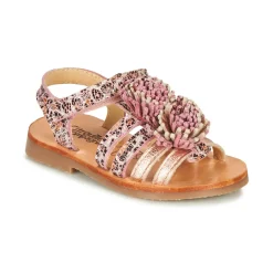 Citrouille et Compagnie - MARINAS