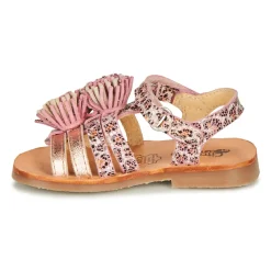 Citrouille et Compagnie - MARINAS