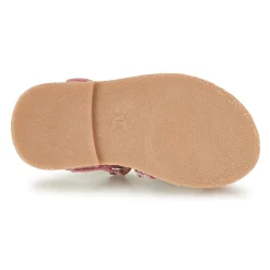 Citrouille et Compagnie - MARINAS