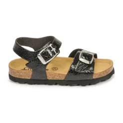 Citrouille et Compagnie - RELUNE