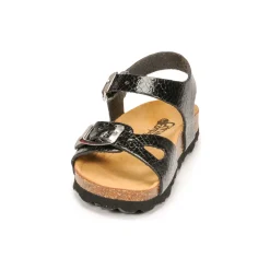 Citrouille et Compagnie - RELUNE