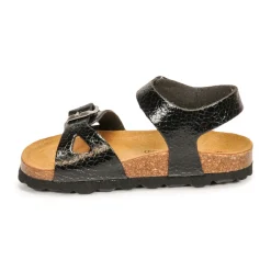 Citrouille et Compagnie - RELUNE