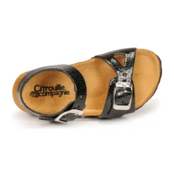 Citrouille et Compagnie - RELUNE