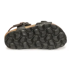 Citrouille et Compagnie - RELUNE