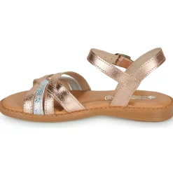 Citrouille et Compagnie - KANSAK