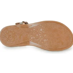 Citrouille et Compagnie - KANSAK