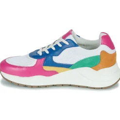 Citrouille et Compagnie - NUMANJI