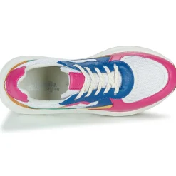 Citrouille et Compagnie - NUMANJI