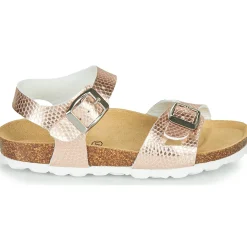 Citrouille et Compagnie - RELUNE