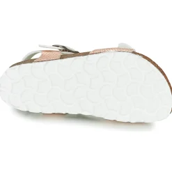 Citrouille et Compagnie - RELUNE