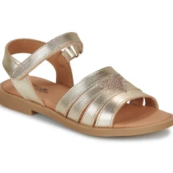 Citrouille et Compagnie - CŒUR