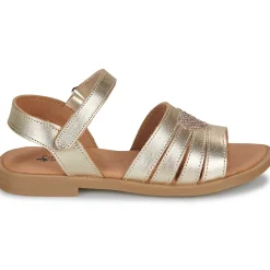 Citrouille et Compagnie - CŒUR