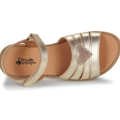 Citrouille et Compagnie - CŒUR