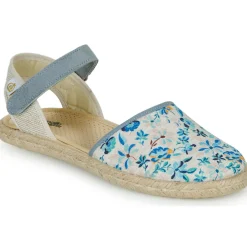 Citrouille et Compagnie - JYPSONI