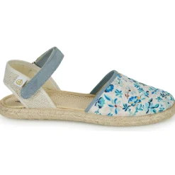 Citrouille et Compagnie - JYPSONI