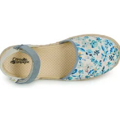 Citrouille et Compagnie - JYPSONI