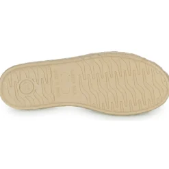 Citrouille et Compagnie - JYPSONI